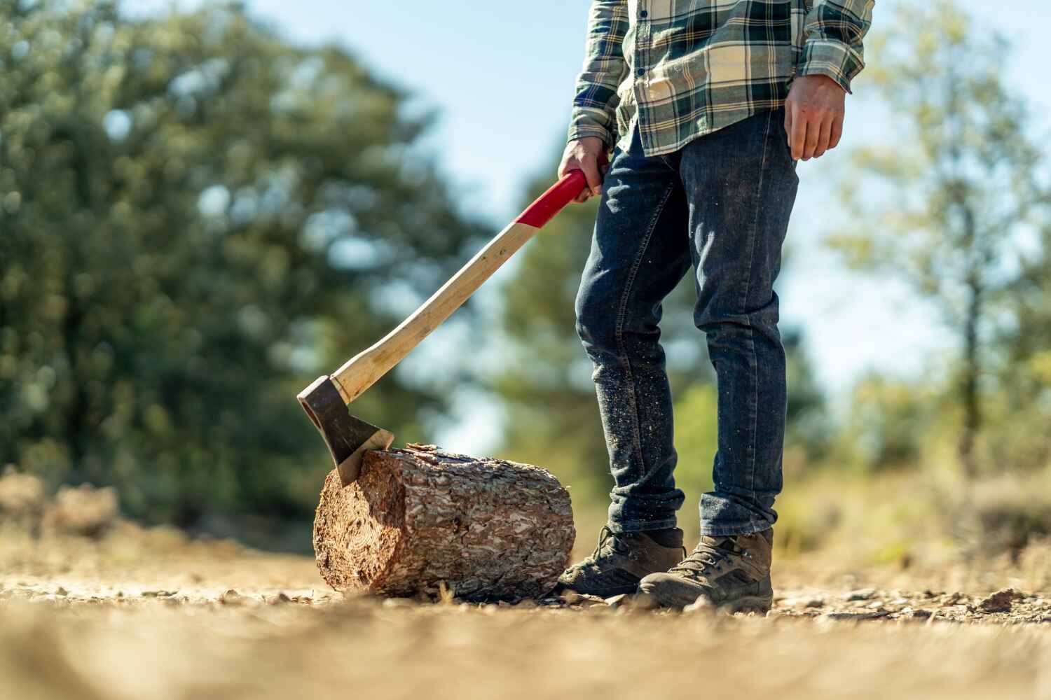 Best Tree Removal Near Me  in Patrick Af, FL